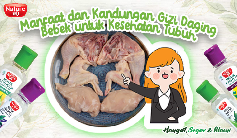 thumbnail artikel gj-05